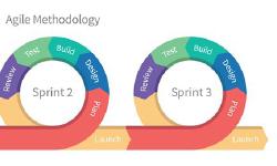 Featured image of post Agile : The Snake Oil for Cobra Bites