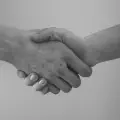 Empathy and Respect in Software Engineering Teams: Actions for a Team Lead